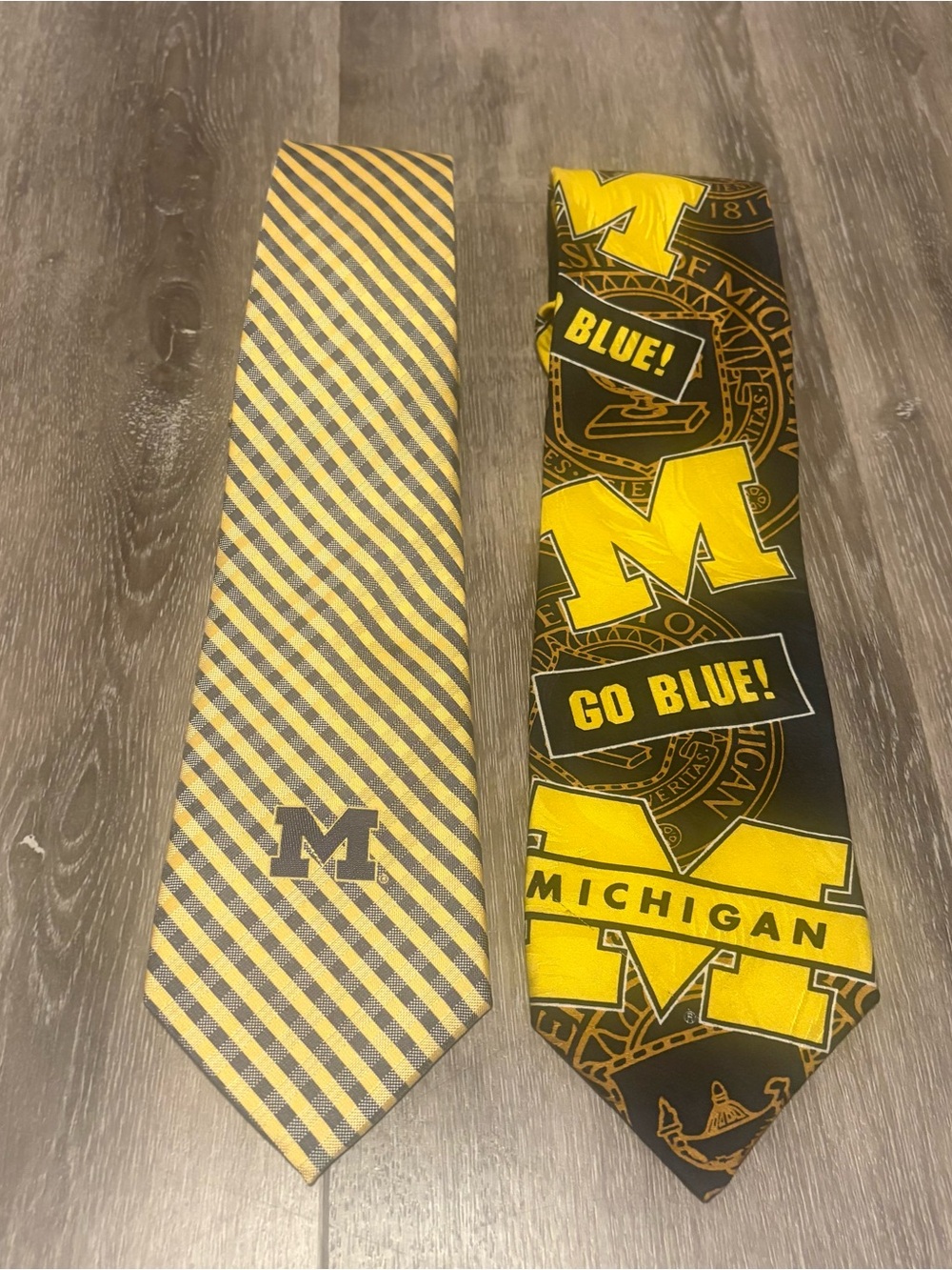 Vintage Eagles Wings & Silk RM Sport Michigan Wolverines Ties Lot of 2 - Picture 2 of 8